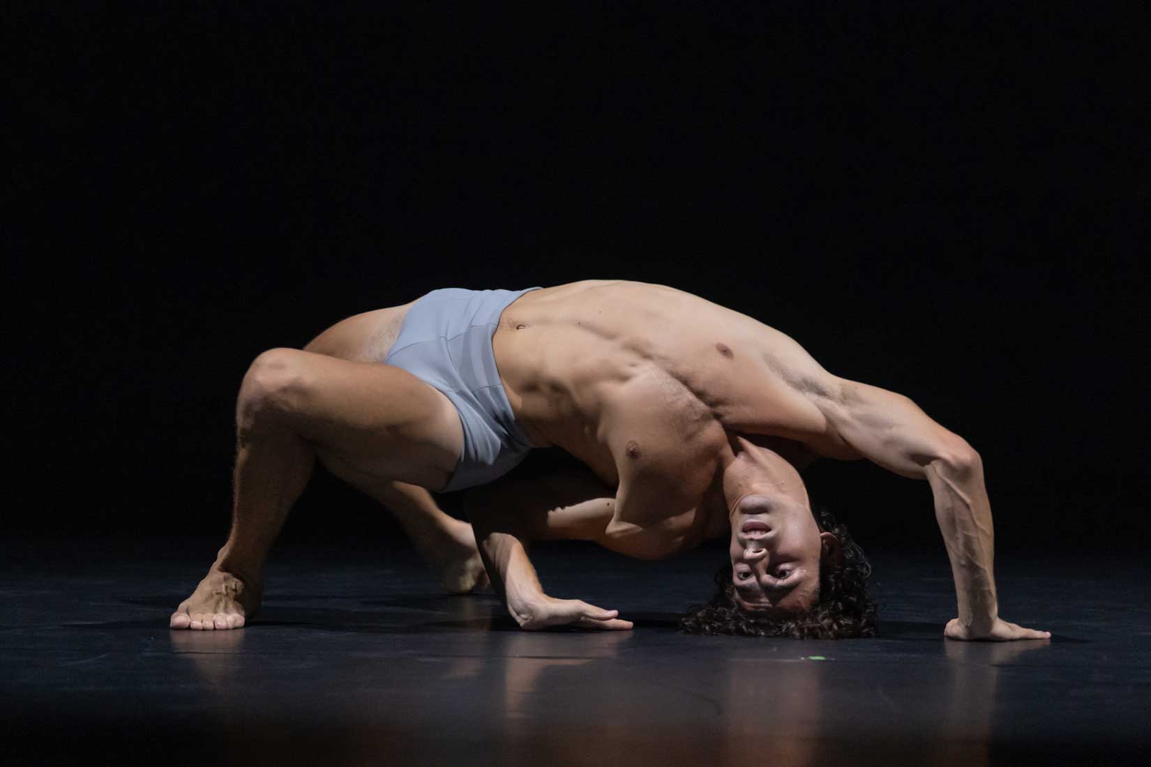 Espectacle de dansa 'Faun'.