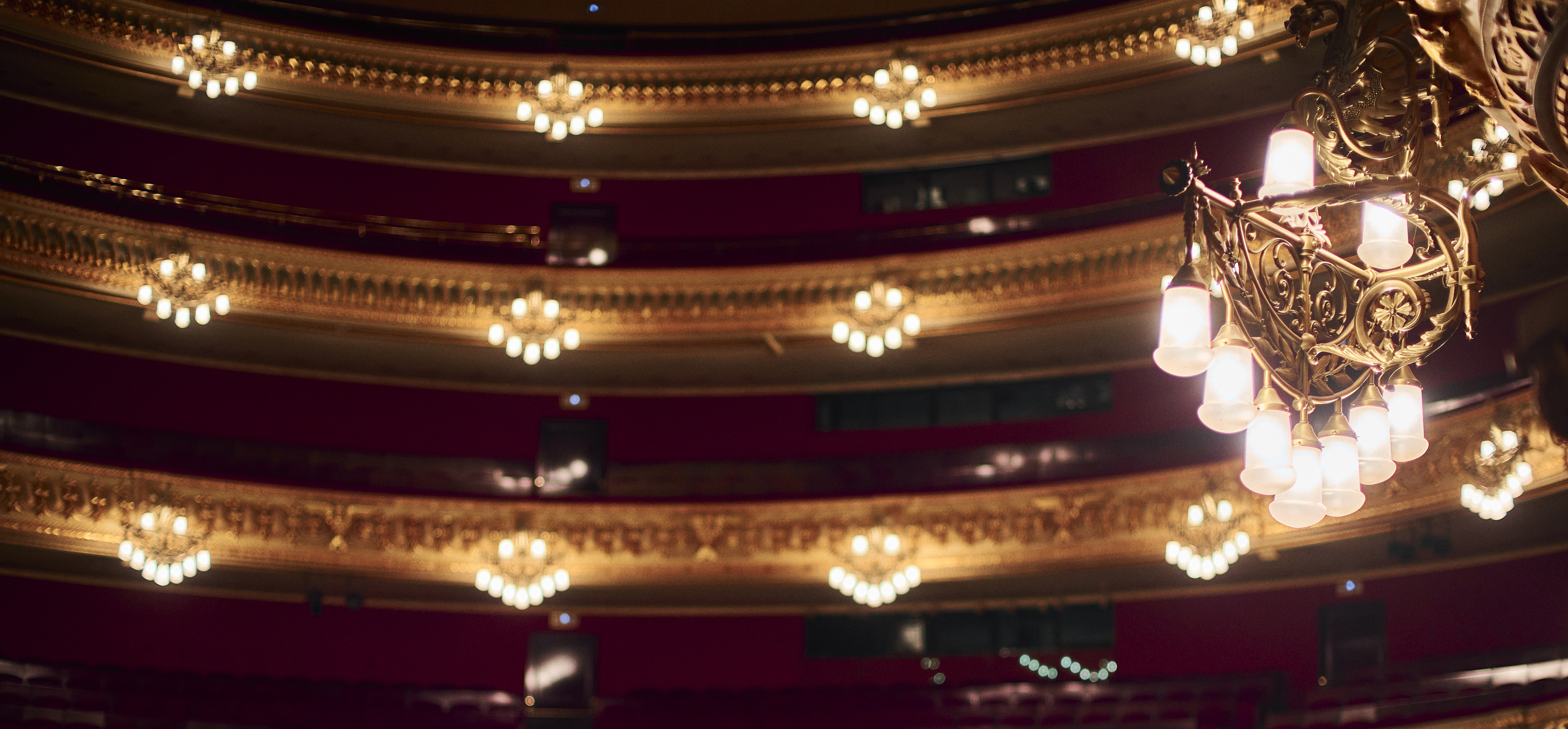 Sala del Gran Teatre del Liceu ( © Sergi Panizo)