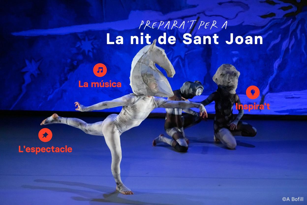 Prepara't per a LaNitdeSantJoan