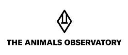 alt="logotip de The Animals Observatory. Enllaç a la pàgina web de The Animals Observatory"