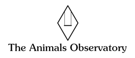 The Animals Observatory Logo